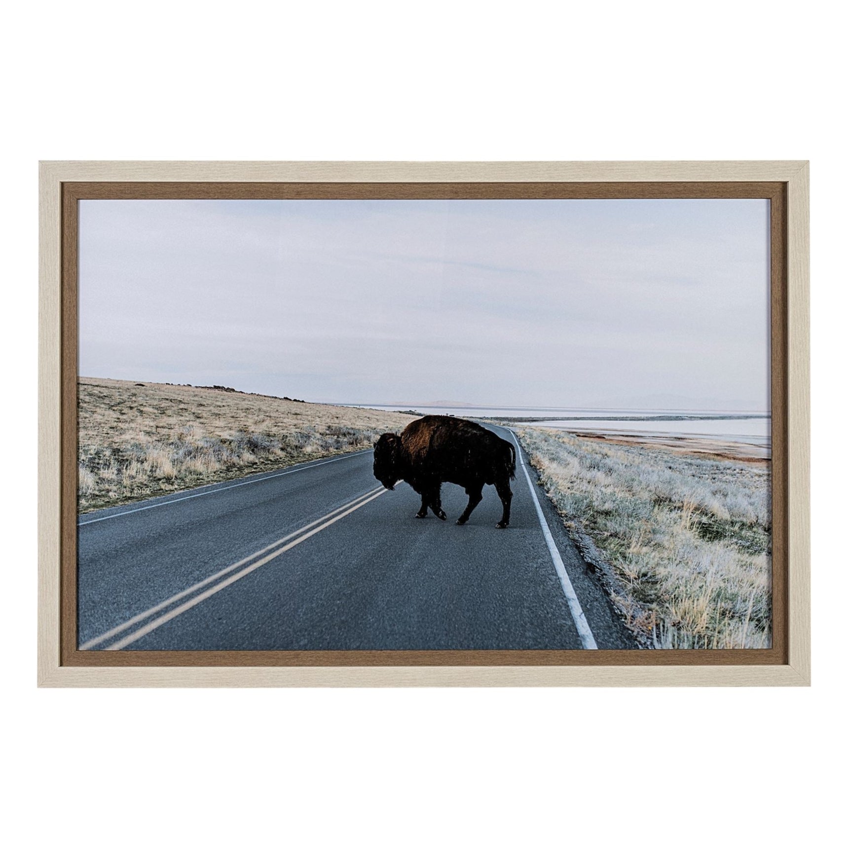 Art encadré - Buffalo Crossing 